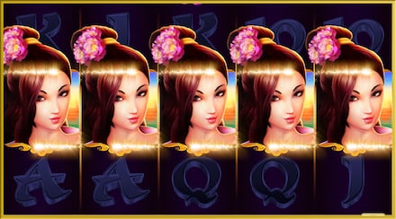 Lotus Flower screenshot