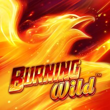 Burning WILD