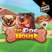 The Dog House