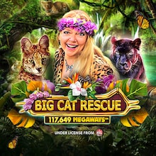 Big Cat Rescue Megaways