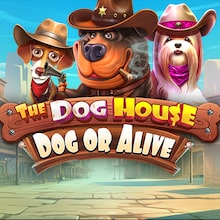 The Dog House - Dog or Alive™