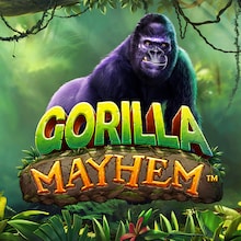 Gorilla Mayhem