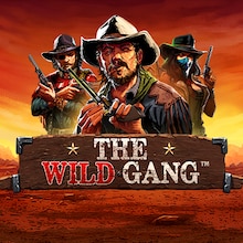 The Wild Gang