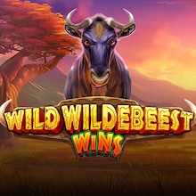 Wild Wildebeest Wins